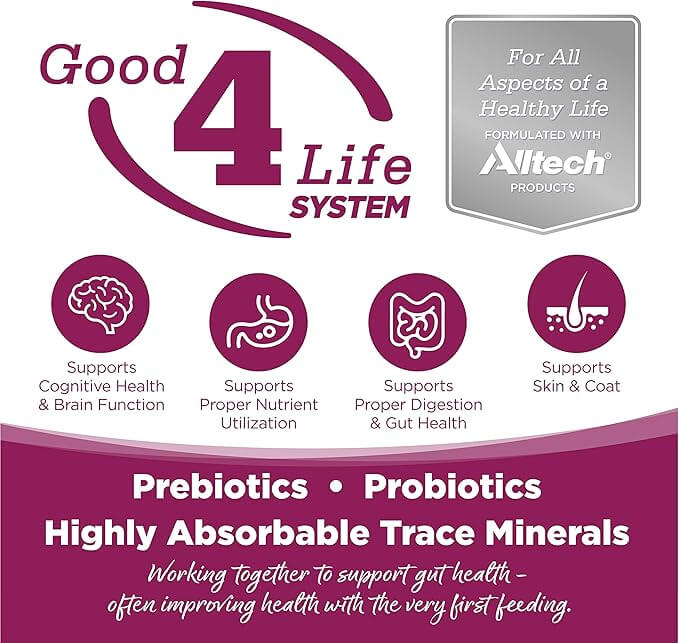 Graphic promoting the "Good 4 Life System" by Alltech, highlighting benefits like cognitive health, digestion, and skin support.