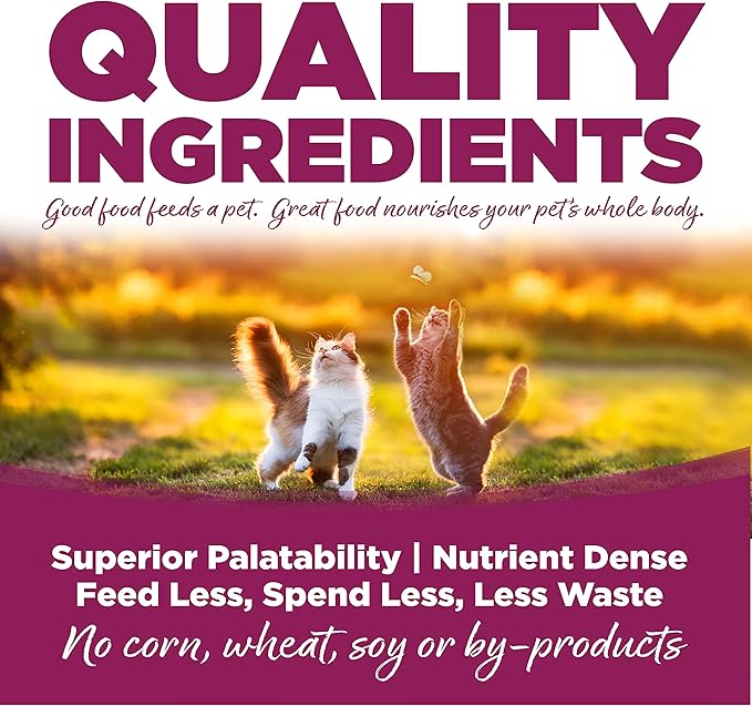 Two playful kittens chase a butterfly in a sunlit field, promoting quality pet food with bold text highlighting its benefits.