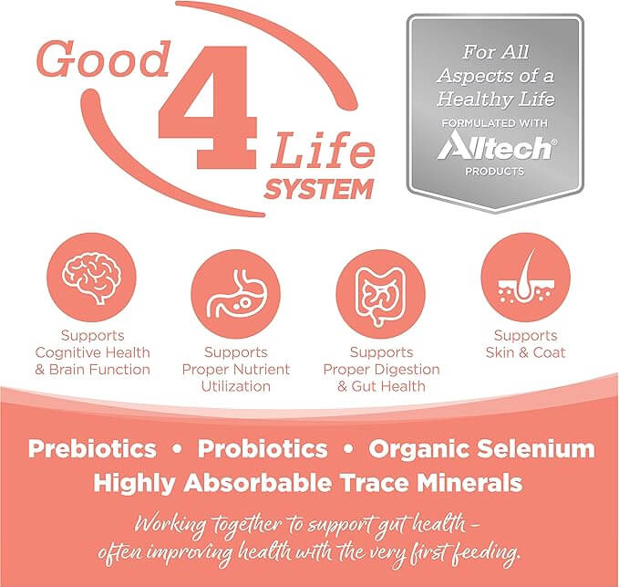 NutriSource Seafood Select Grain-Free Dog Food Made with Salmon and Menhaden Fish Meal 15LB Dry Dog Food - Shopinapets NutriSource Seafood Select Grain-Free Dog Food Made with Salmon and Menhaden Fish Meal 15LB Dry Dog Food Shopinapets #