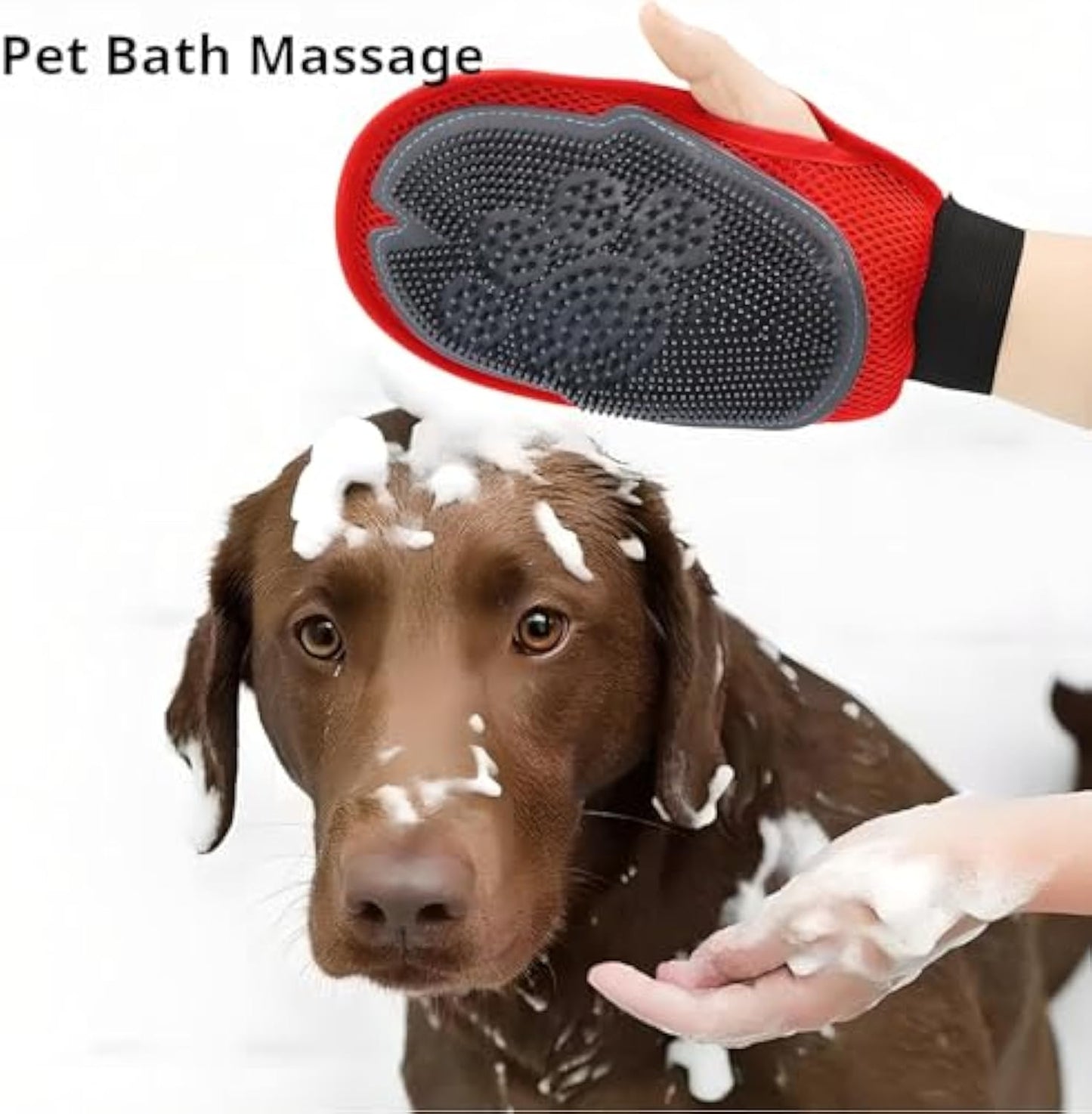 Pet Bathing Glove Pet Hair Glove Grooming Pet Hair Remover Mitt Pet Bathing Tool Cleaning Gloves Brush Gloves Are Combining A Cleaning Brush - Shopinapets Pet Bathing Glove Pet Hair Glove Grooming Pet Hair Remover Mitt Pet Bathing Tool Cleaning Gloves Brush Gloves Are Combining A Cleaning Brush Shopinapets #