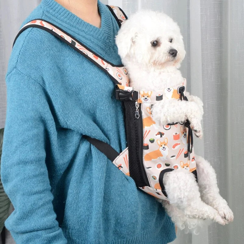 A person in a blue sweater carries a small white dog in a colorful, sushi-patterned pet carrier, showcasing a cozy bonding moment.