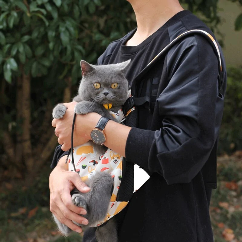 A person in a black shirt holds a grey cat in a colorful, patterned carrier, standing amid greenery. The cat looks curious and content.