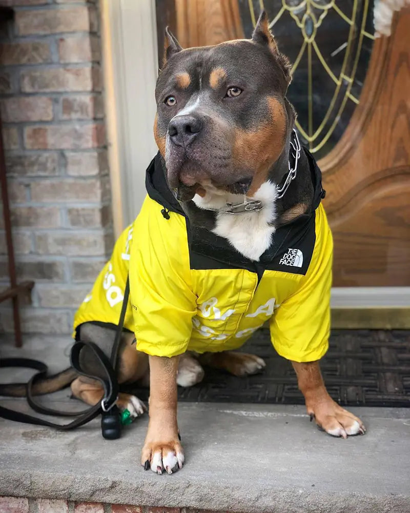 Pet Waterproof Jacket - Shopinapets Pet Waterproof Jacket Shopinapets #