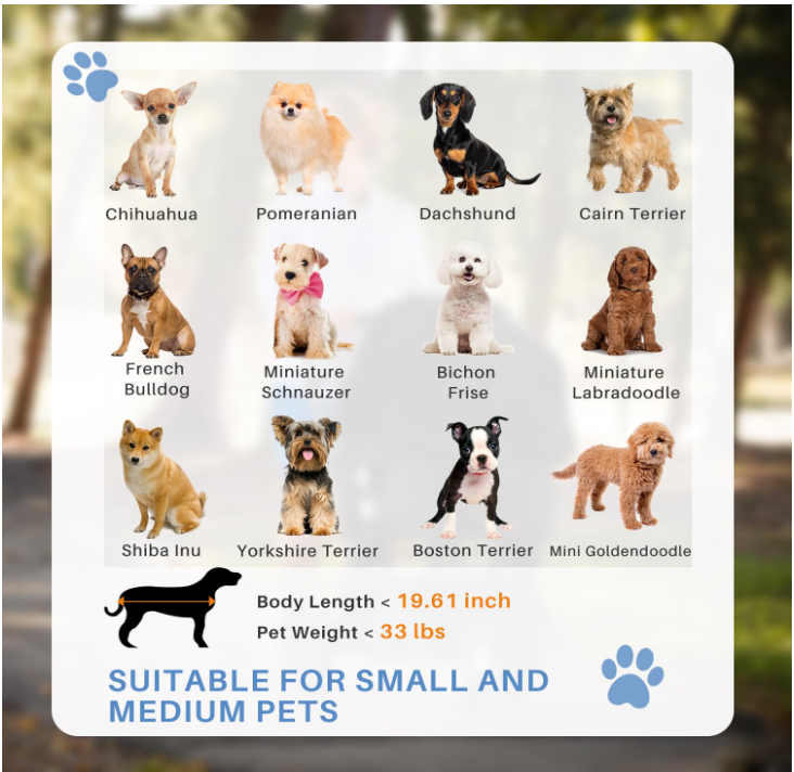 PetJoy Foldable Stroller for Small Pets - Shopinapets PetJoy Foldable Stroller for Small Pets Shopinapets #