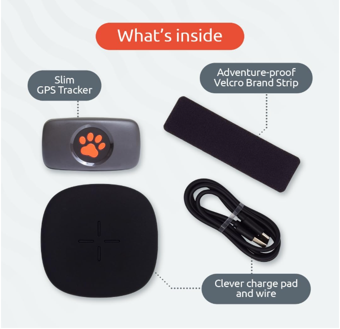 PitPat GPS Tracker for Dogs - No Subscription Fees - 100% Waterproof Pet Tracker (Green) - Shopinapets PitPat GPS Tracker for Dogs - No Subscription Fees - 100% Waterproof Pet Tracker (Green) Shopinapets #