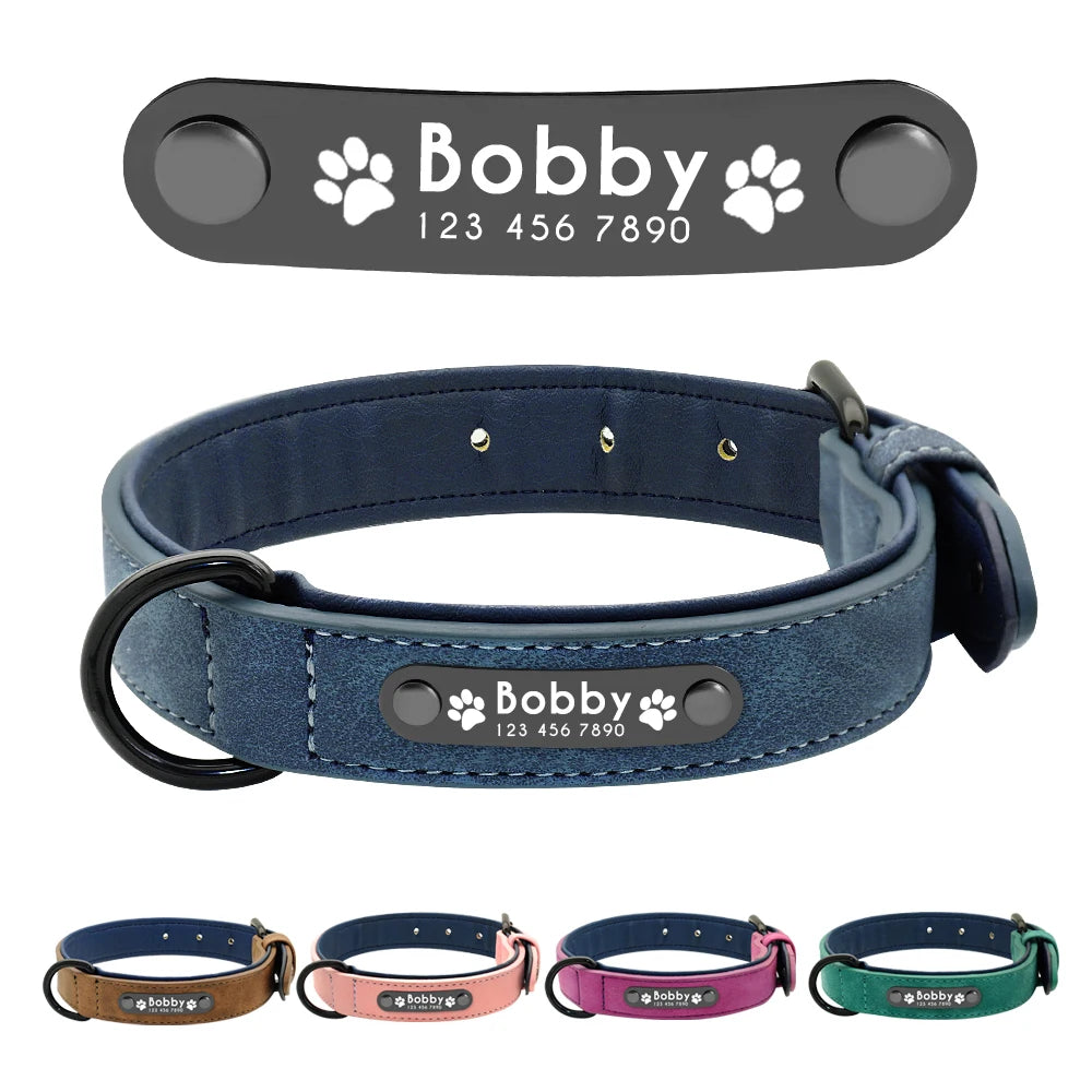 A dog collar in various colors featuring a personalized tag with the name "Bobby" and phone number for identification.