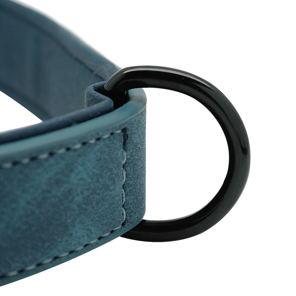 Close-up of a blue collar with a sleek black metal D-ring attachment. Textured surfaces and contrasting stitching are visible.