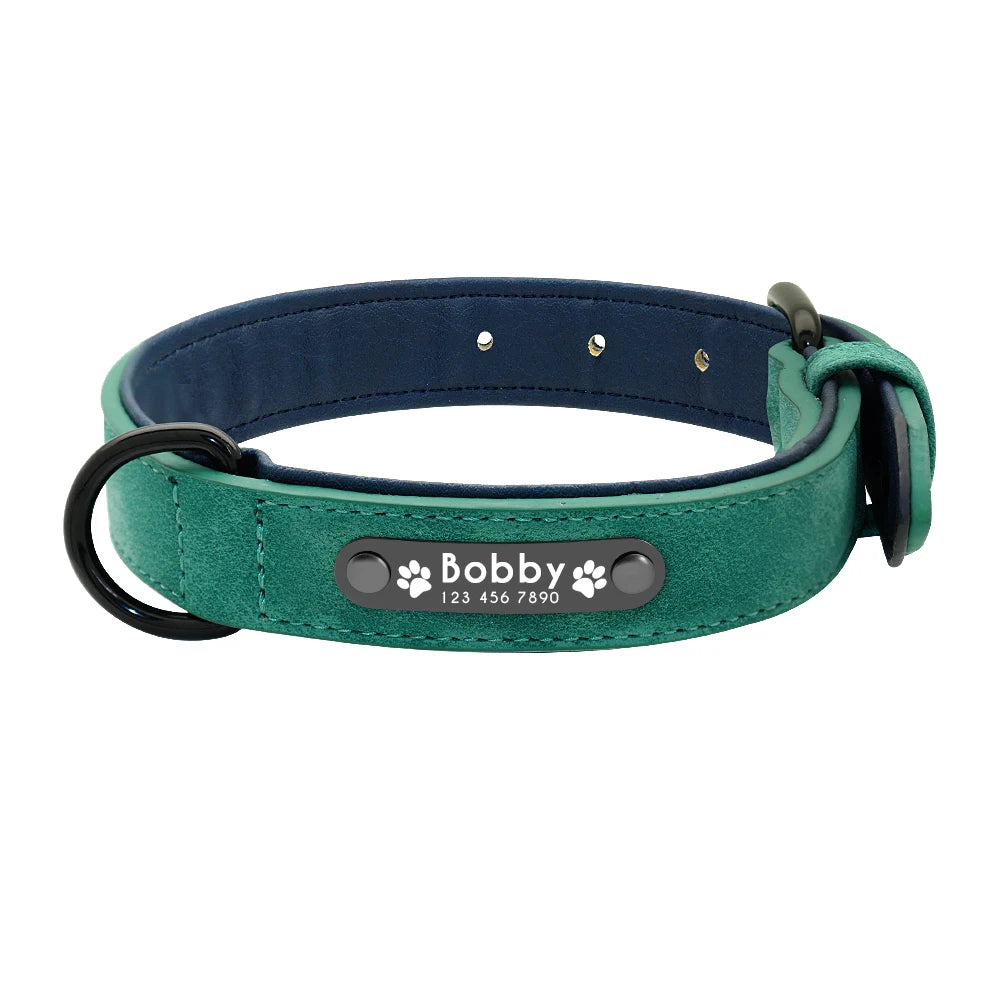 A green dog collar with a blue inner lining with tag.