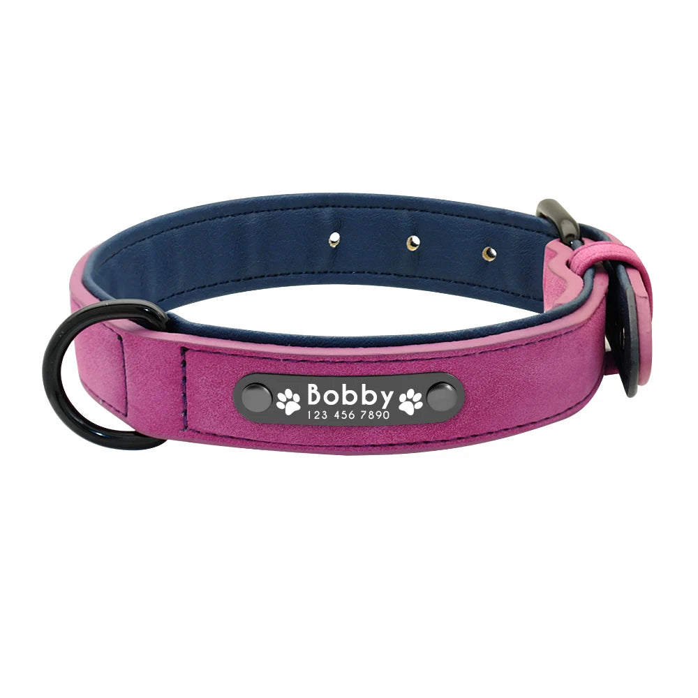 A pink dog collar with a blue inner lining with tag.