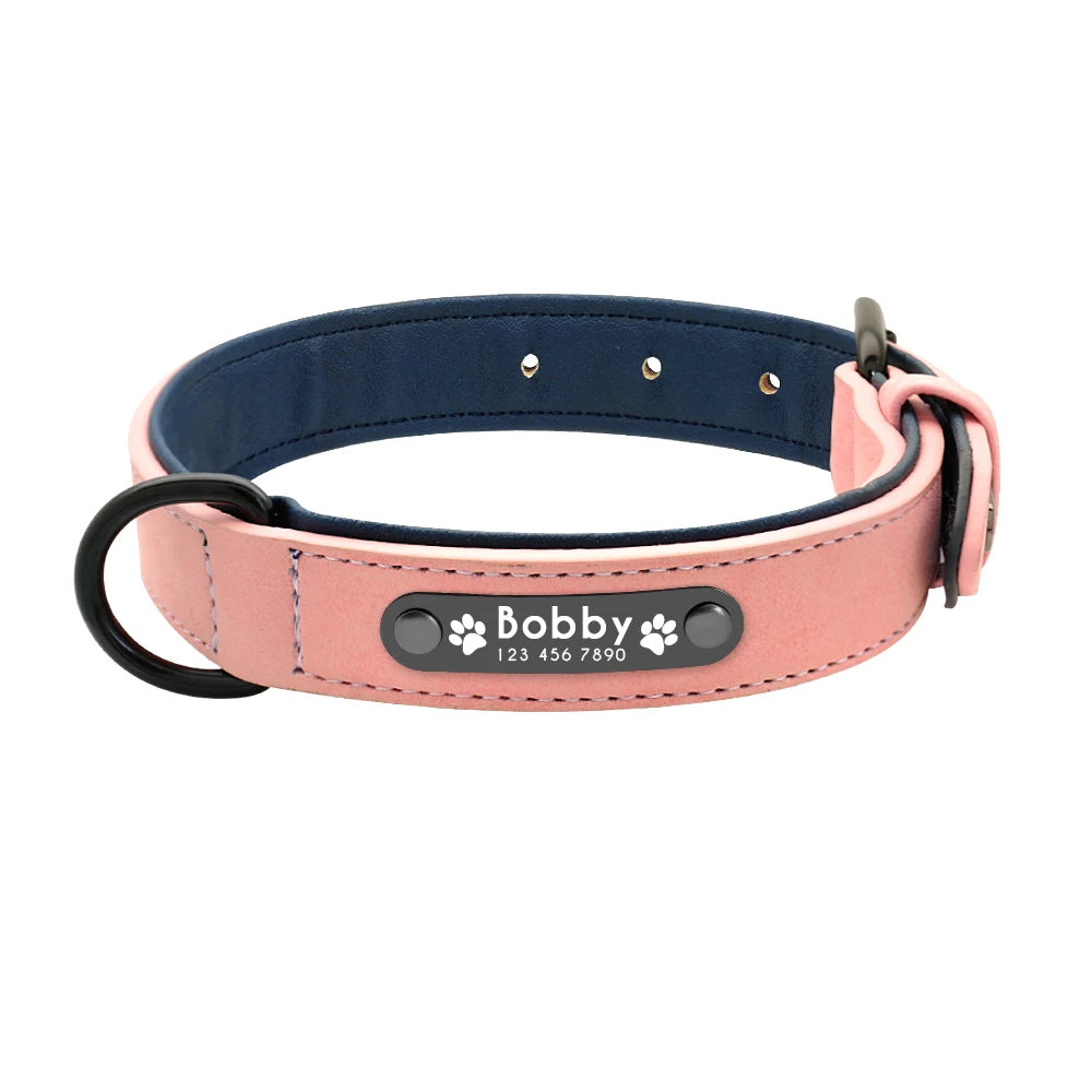 A pink dog collar with a blue inner lining with tag.