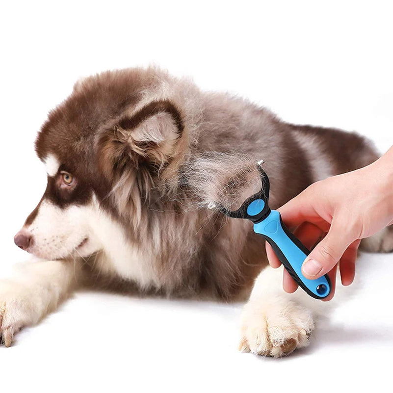 A hand using a blue grooming tool to trim the fur of a dog lying down.