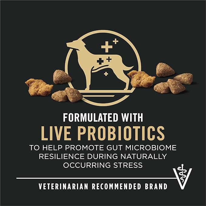 A promotional graphic for a veterinarian-recommended dog food featuring live probiotics to enhance gut health during stress.