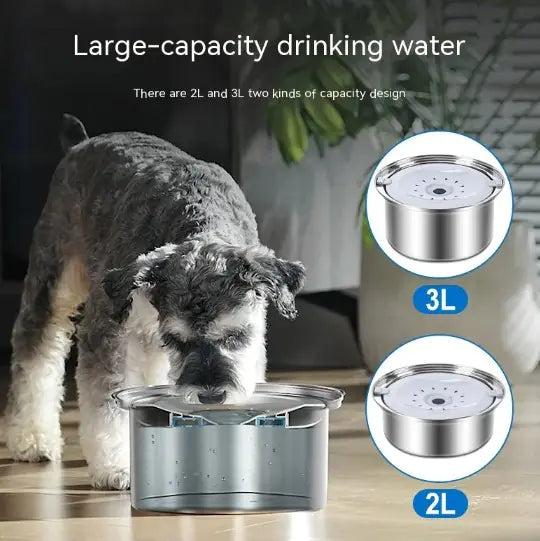 A dog drinks from a sleek, large-capacity water dispenser with 2L and 3L design options, set in a bright, modern environment.