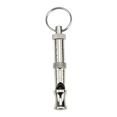 Metal dog whistle with key ring on a white background