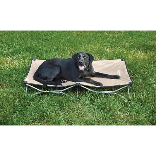 Black dog lying on a beige pet cot in a grassy area