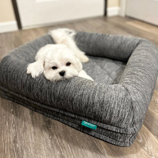 Newton Comfy Orthopedic Pet Bed - All Sizes