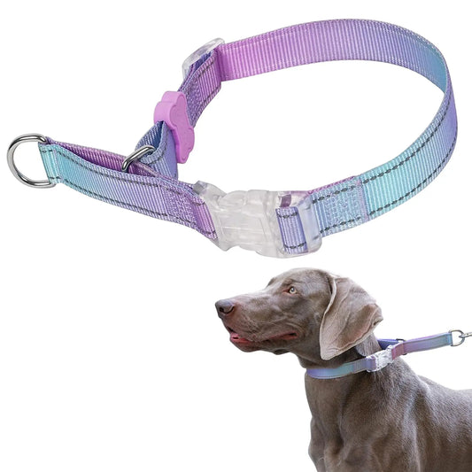 BELLA & PAL Adjustable Nylon Martingale Training Collar - Shopinapets