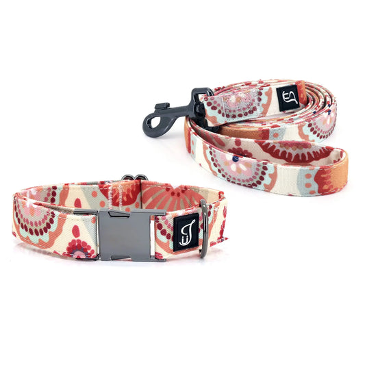 Comfy Cotton Dog Collar & Leash Set - Orange Daisy Large - Shopinapets