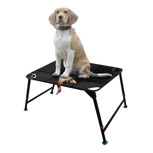 WildTrainer Adjustable Dog Agility Stand