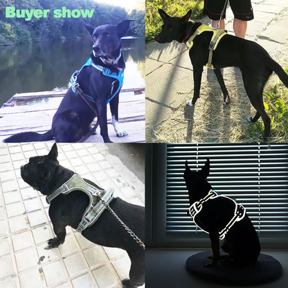 Premium Dog Harness