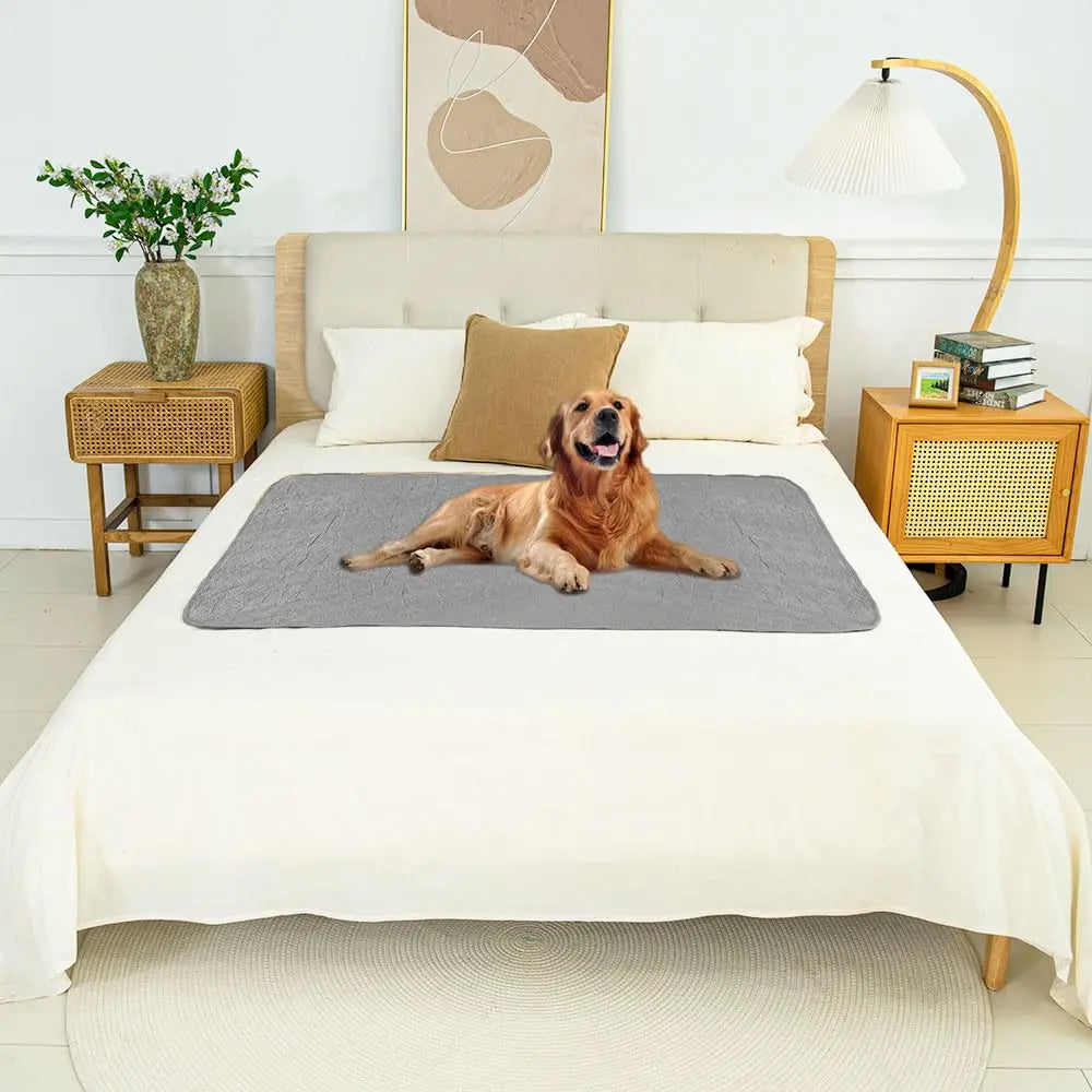 SofaSafe Dual-Side Waterproof Pet Blanket - Shopinapets