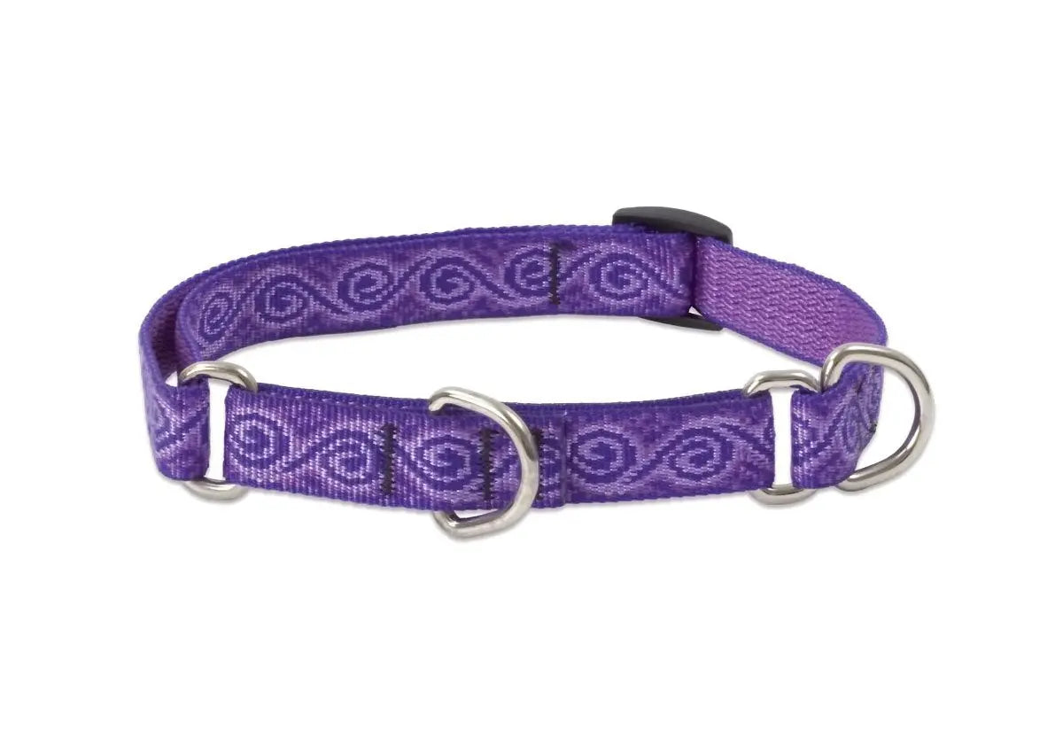 LupinePet Jelly Roll Martingale Collar Medium/Large Dogs - Shopinapets