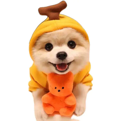 Cute And Cozy Costumes For Pet