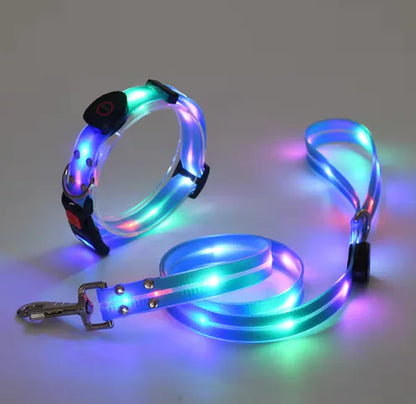 Glow Guard Collar