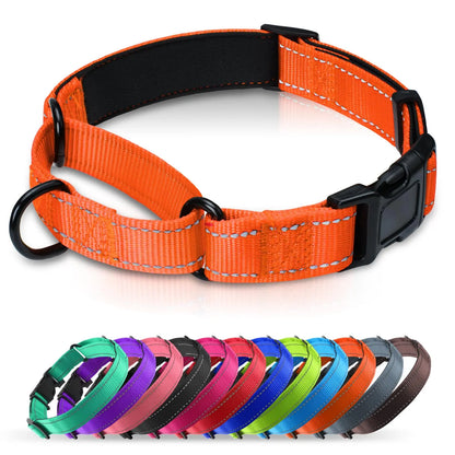 Erbine Neoprene Cushion Martingale Collar | Reflective Adjustable Dog Collar - Shopinapets