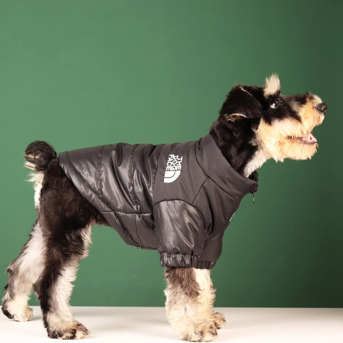 Winter Dog Jacket