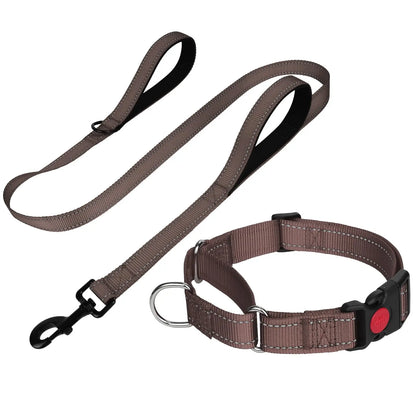 SafeTraining QuickRelease Martingale Dog Set - Shopinapets