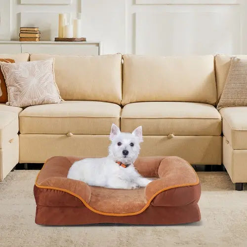 Small Pet Orthopedic Memory Foam Bed with Washable Cover - Shopinapets