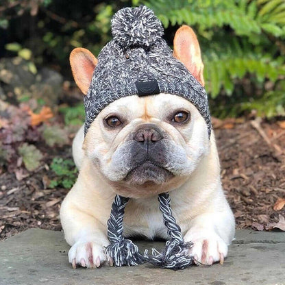 Pet Windproof Knitting Hat