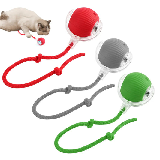 SmartPet Active Rolling Ball