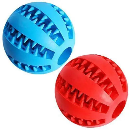Fetch 'N Clean Dental Balls 2-Pack