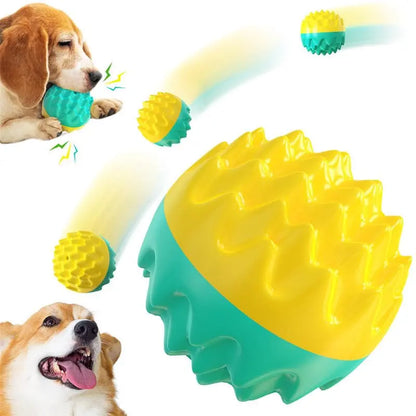ChewPro Squeaky Dog Balls
