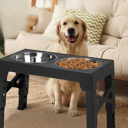 A dog sits beside a raised dog bowl station filled with kibble and a stainless steel water bowl. 