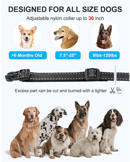 Anti Shock Dog Training Collar for 2 Dogs - Shopinapets  Anti Shock Dog Training Collar for 2 Dogs Shopinapets #