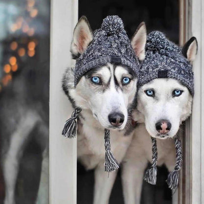 Pet Windproof Knitting Hat