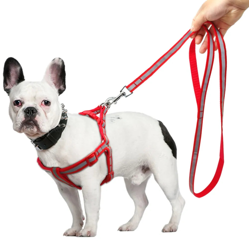 Dog Leash Set