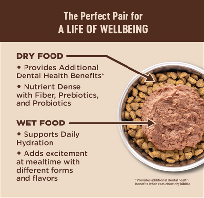 CORE+ Wholesome Grains Salmon & Rice High-Protein Cat Food, Prebiotic Coating, 5 lbs - Shopinapets  CORE+ Wholesome Grains Salmon & Rice High-Protein Cat Food, Prebiotic Coating, 5 lbs Shopinapets #
