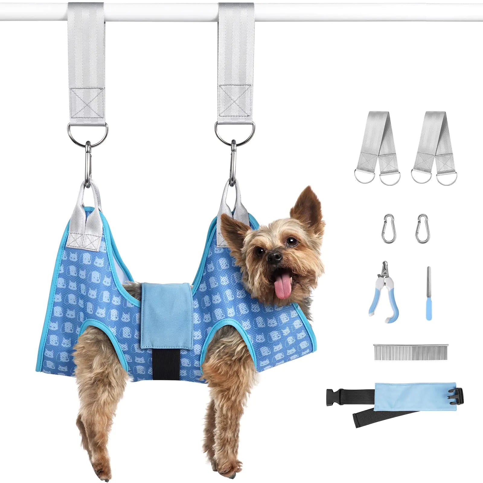 Dog in a blue pet grooming harness with additional grooming tools on a white background