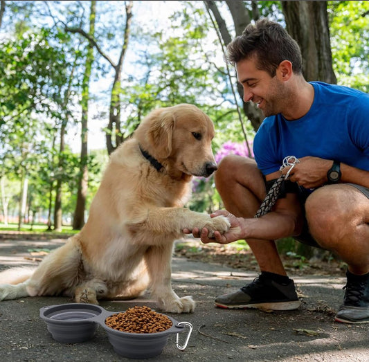 Collapsible Dog Bowls 2 In 1 Foldable Pet Food Water Bowl With Integrated Molding Double Bowl Design  Perfect For Walking Hiking And Camping - Shopinapets  Collapsible Dog Bowls 2 In 1 Foldable Pet Food Water Bowl With Integrated Molding Double Bowl Design  Perfect For Walking Hiking And Camping Shopinapets #