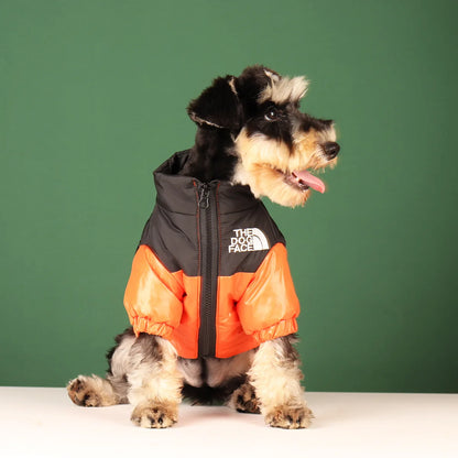 Winter Dog Jacket