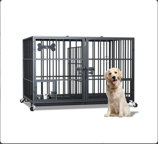A golden retriever sits beside a large black metal dog crate with two compartments and food bowls inside.