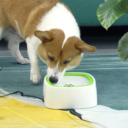 A dog is drinking water from a water bowl.