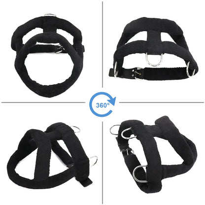 Four distinct positions for a black pet harness 