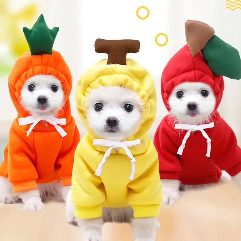 Cute And Cozy Costumes For Pet