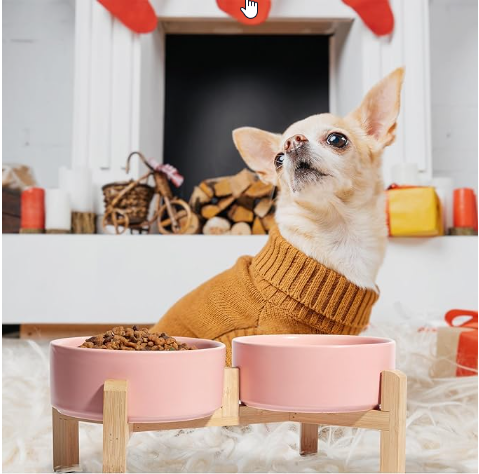 Elevated Double Ceramic Pet Bowl Set - Anti-Slip Bamboo Base - Shopinapets  Elevated Double Ceramic Pet Bowl Set - Anti-Slip Bamboo Base Shopinapets #