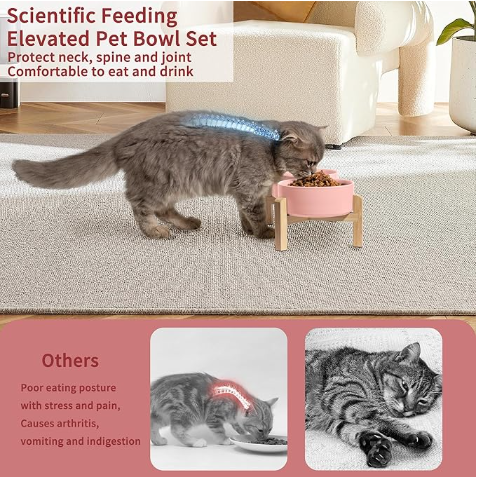 Elevated Double Ceramic Pet Bowl Set - Anti-Slip Bamboo Base - Shopinapets  Elevated Double Ceramic Pet Bowl Set - Anti-Slip Bamboo Base Shopinapets #